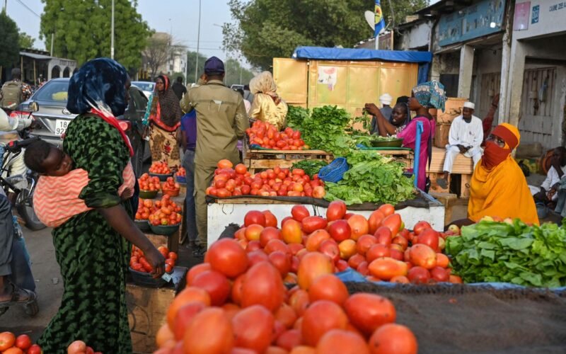 Économie du Tchad : activité commerciale dans un marché tchadien